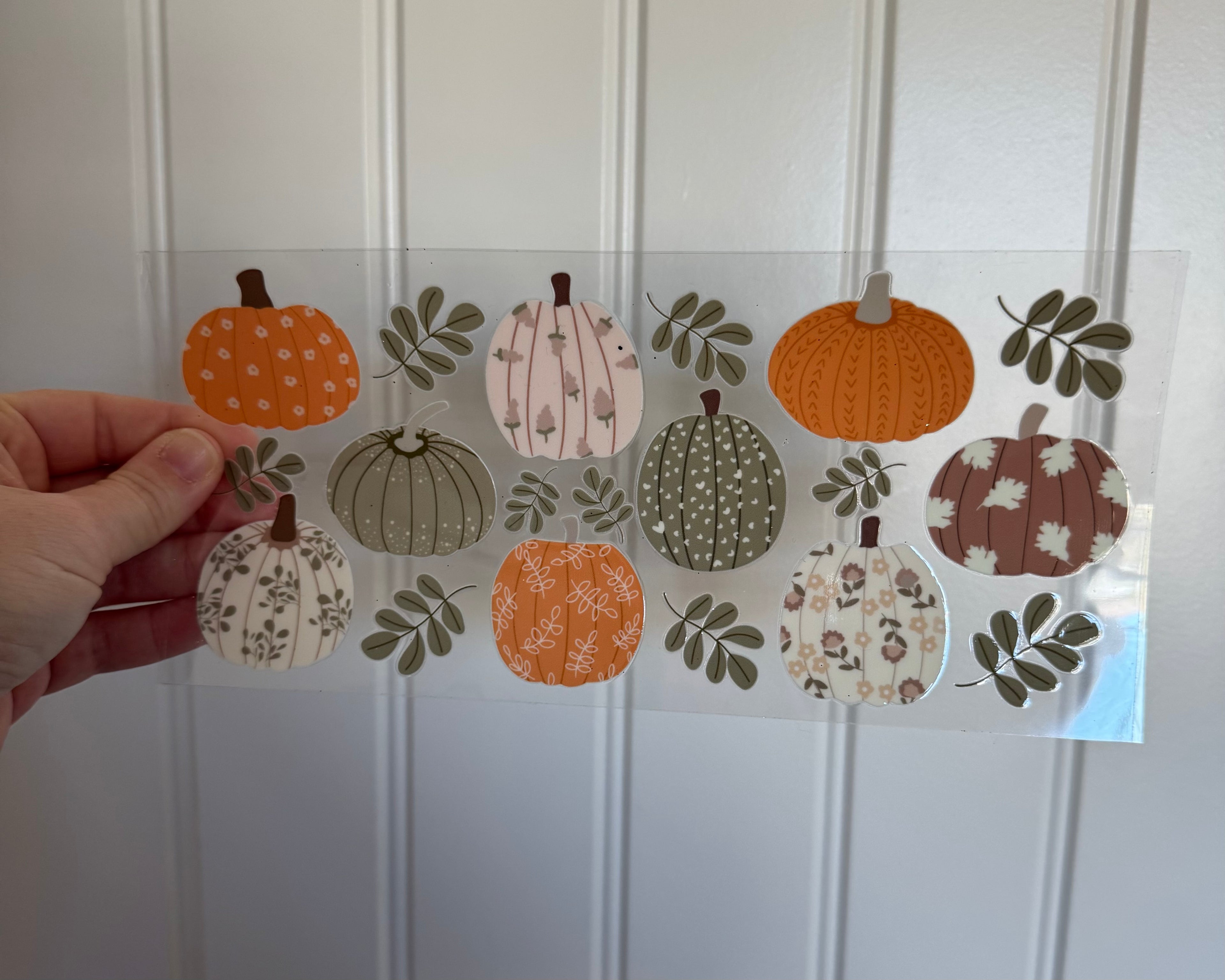 Fall Pumpkins