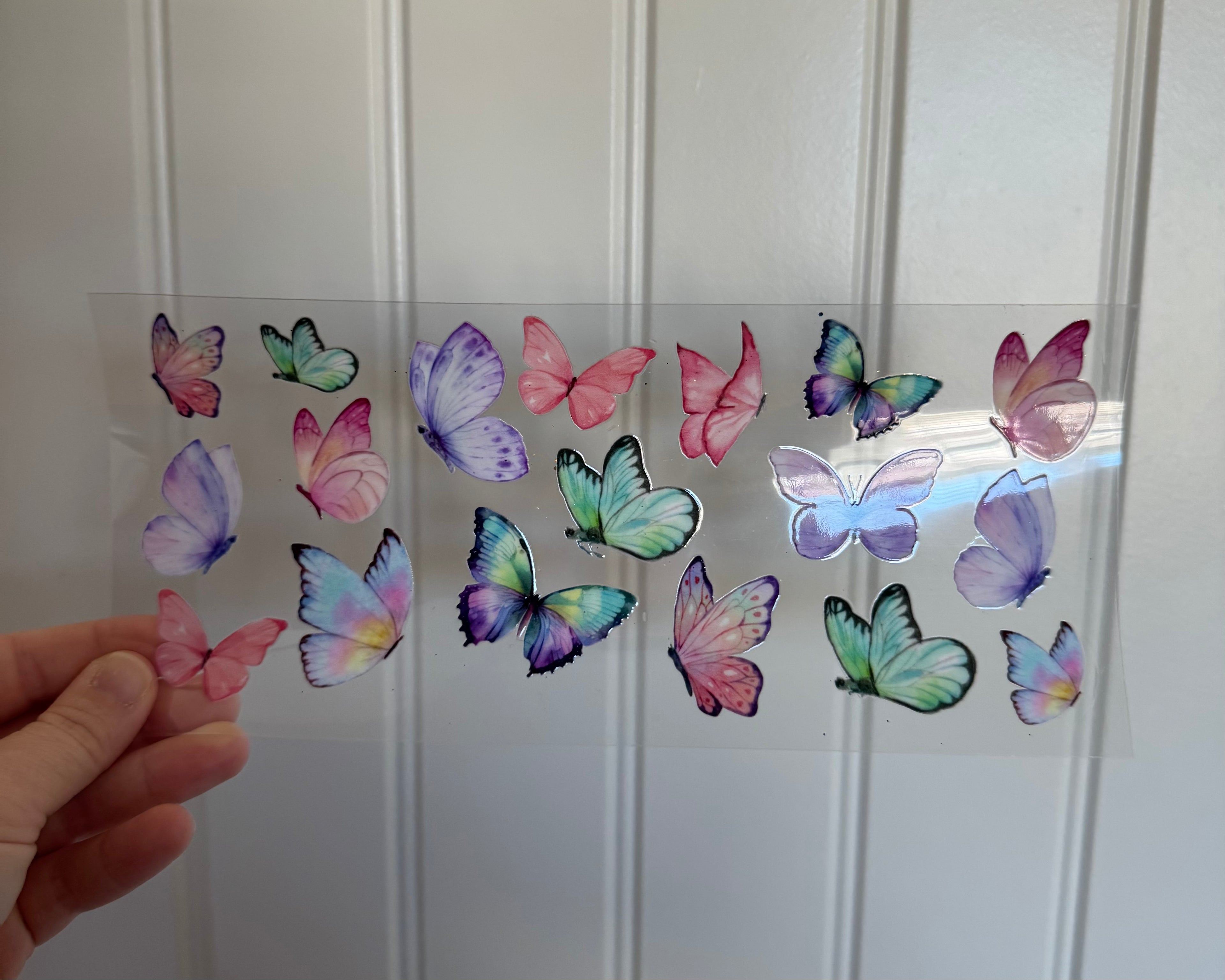 Colorful Butterflies